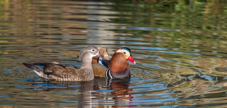 대한민국 풍경215