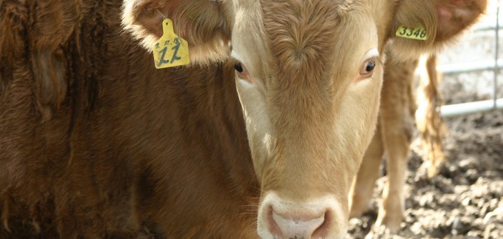 대한민국 풍경273