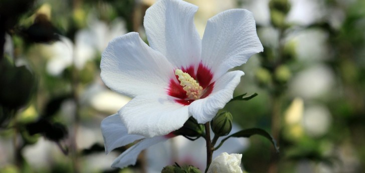 대한민국 풍경199