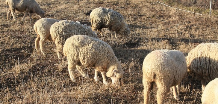 대한민국 풍경203