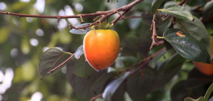 대한민국 풍경202