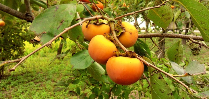 대한민국 풍경212