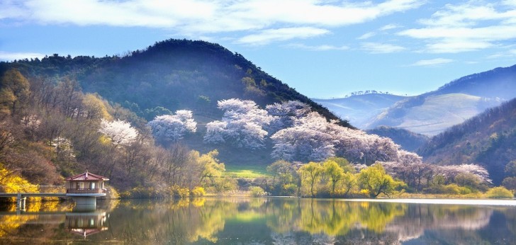 대한민국 풍경 8