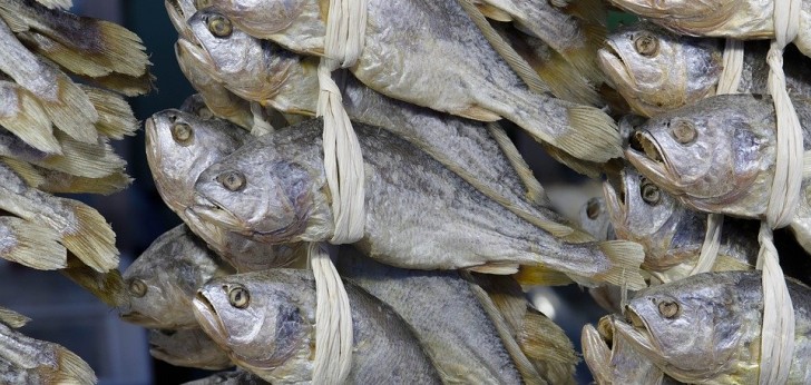 대한민국 풍경29