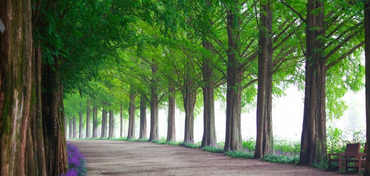 대한민국 풍경10