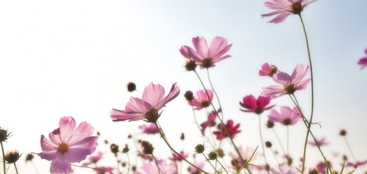 대한민국 풍경23