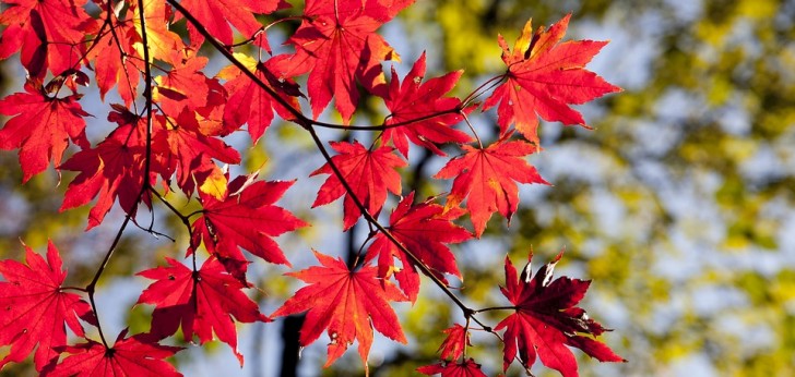 대한민국 풍경22