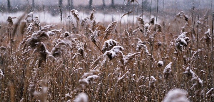대한민국 풍경27