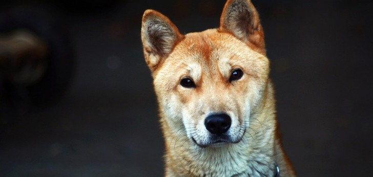 대한민국 풍경33