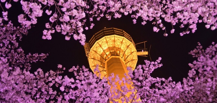 대한민국 풍경 6