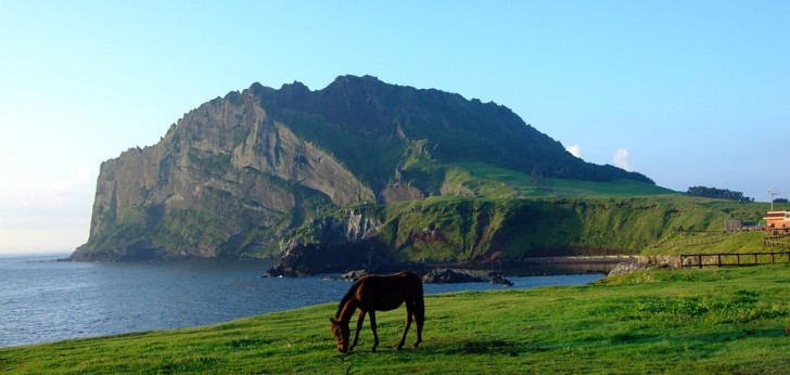 대한민국 풍경24
