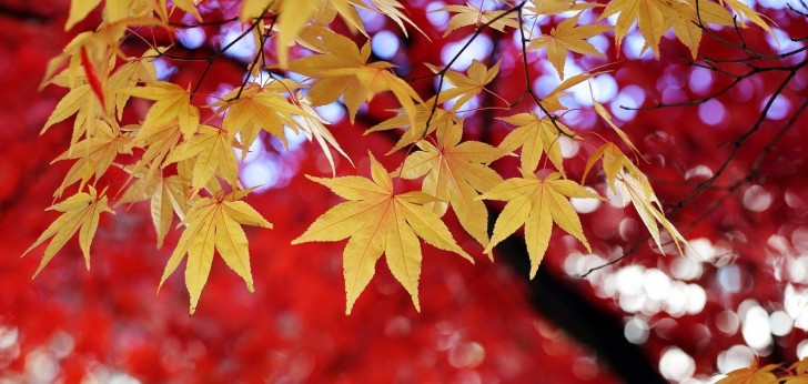 대한민국 풍경56