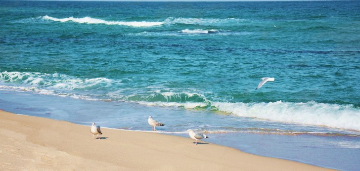 대한민국 풍경93