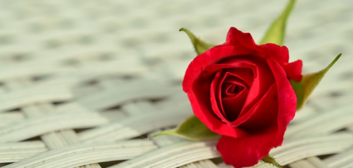 대한민국 풍경112