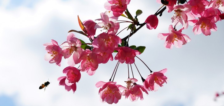 대한민국 풍경111