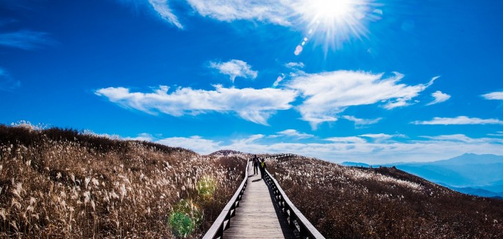 대한민국 풍경210