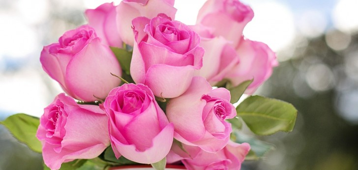 대한민국 풍경258