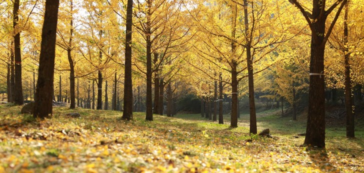 대한민국 풍경194