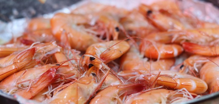 대한민국 풍경168