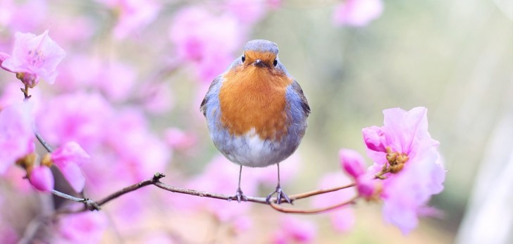 대한민국 풍경83