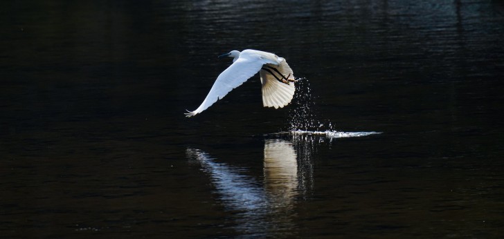 대한민국 풍경66