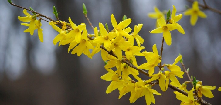 대한민국 풍경81