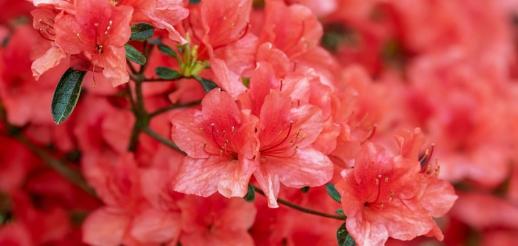 대한민국 풍경89