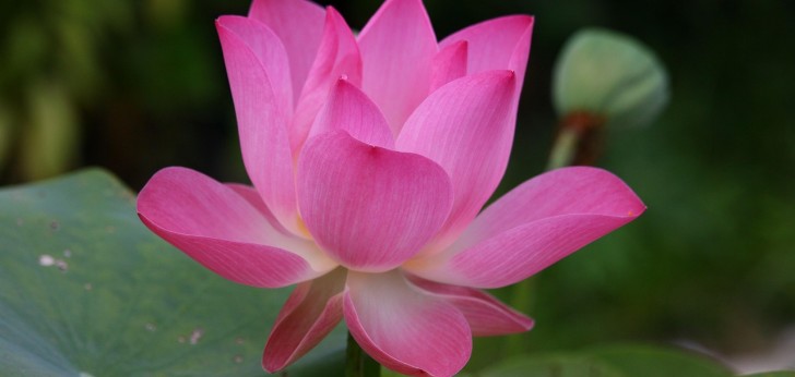 대한민국 풍경124