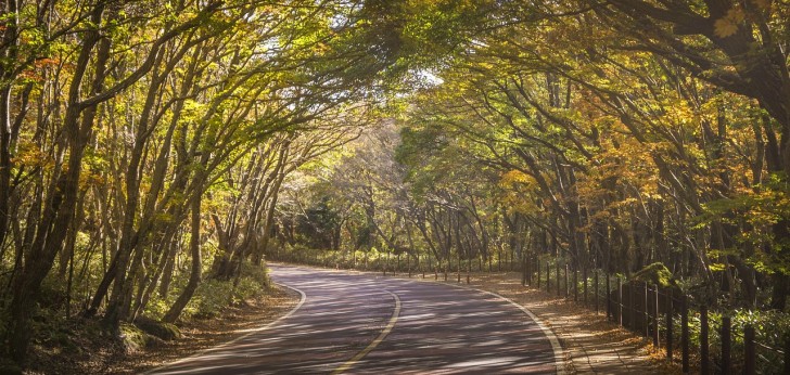 대한민국 풍경160