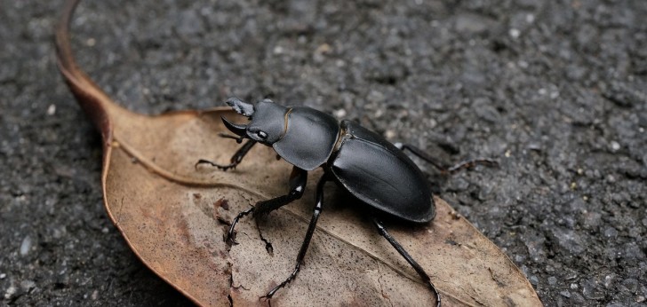 대한민국 풍경147