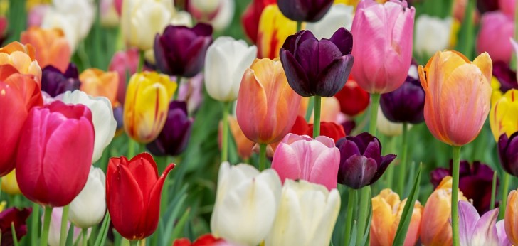 대한민국 풍경108