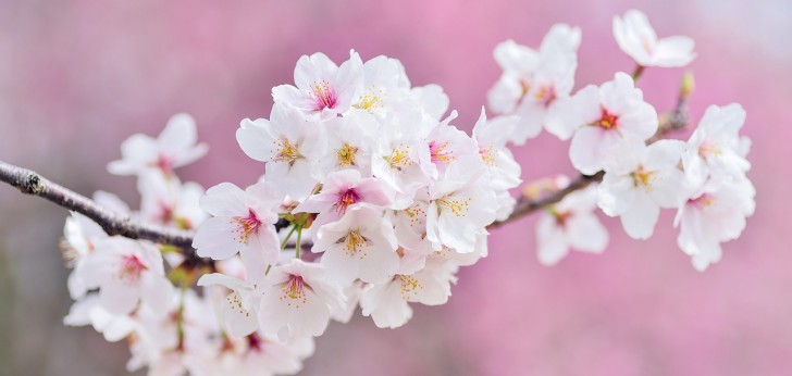 대한민국 풍경109