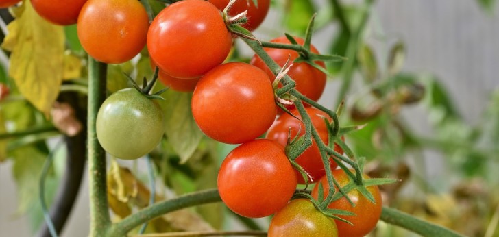 대한민국 풍경122