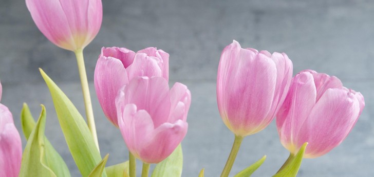 대한민국 풍경125