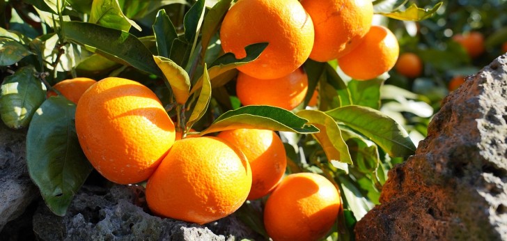 대한민국 풍경239